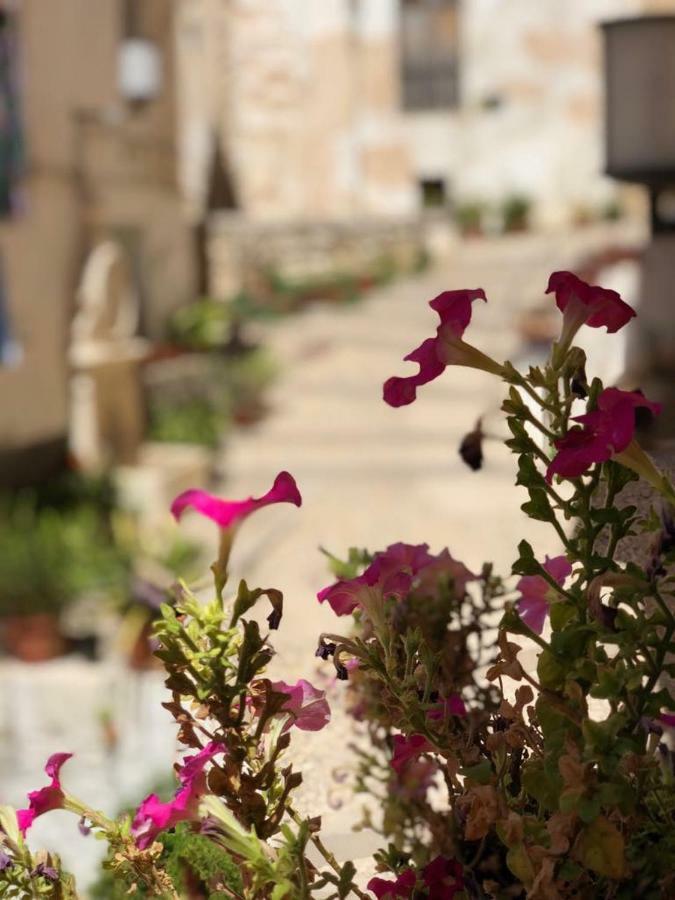 Casa Rural Mirador Bocairent Kültér fotó